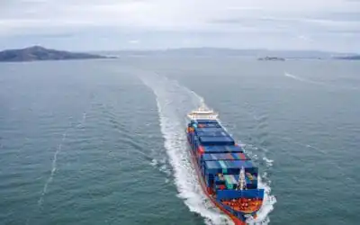 Intrastat – obowiązek, którego nie warto ignorować [kompendium wiedzy dla firm]